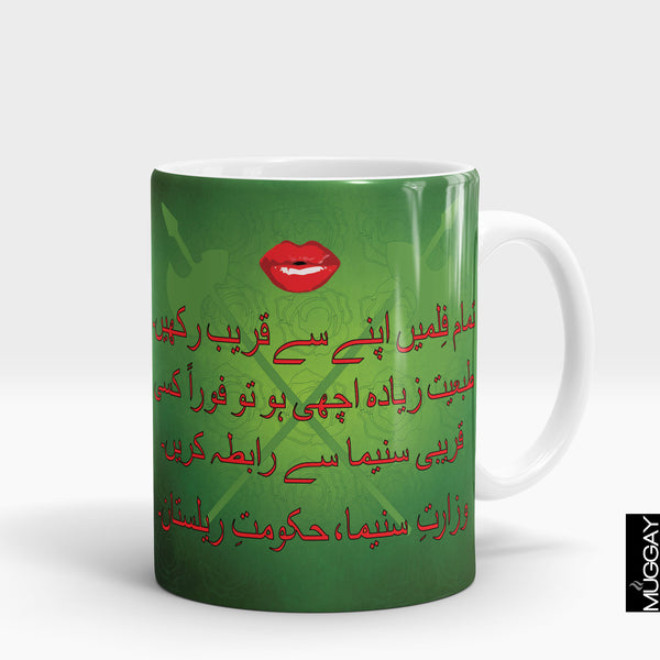 Funny Lollywood mugs11